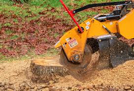 Best Lawn Irrigation Installation and Maintenance  in Oakley, UT